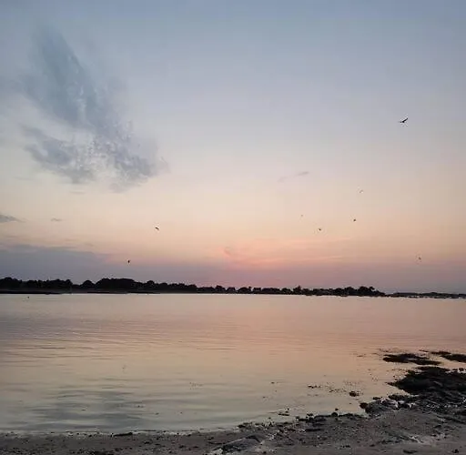 La Des Salines Proche 別荘