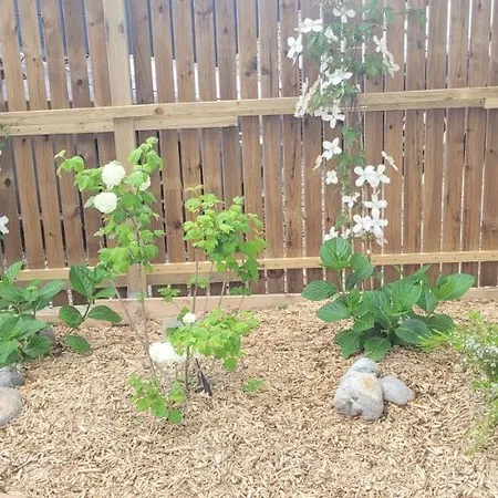 Prázdninový dům La Des Salines Proche *