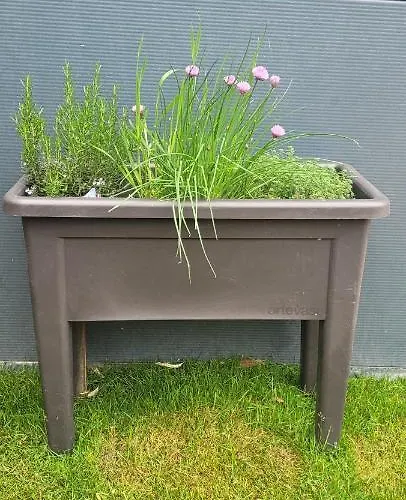 펜션 La Des Salines Proche Mesquer