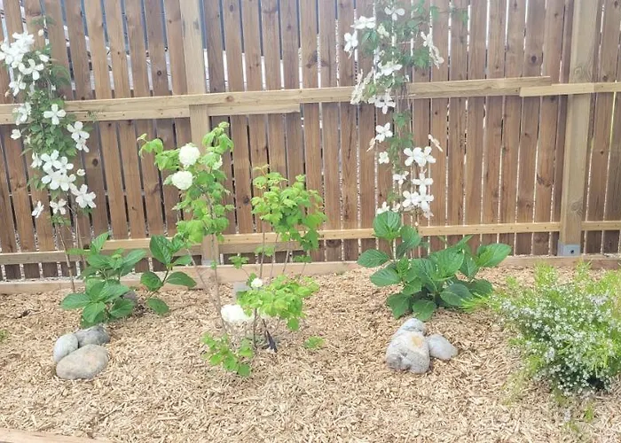 펜션 La Des Salines Proche *